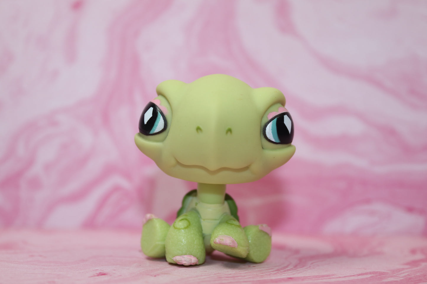 Lps turtle 504