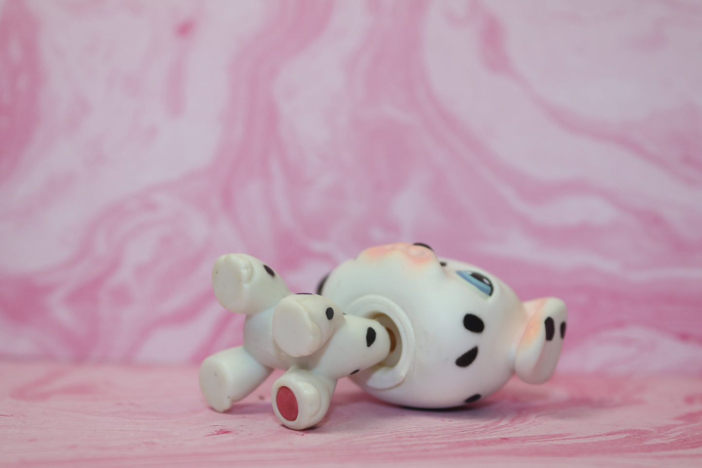 Lps dalmatian 44