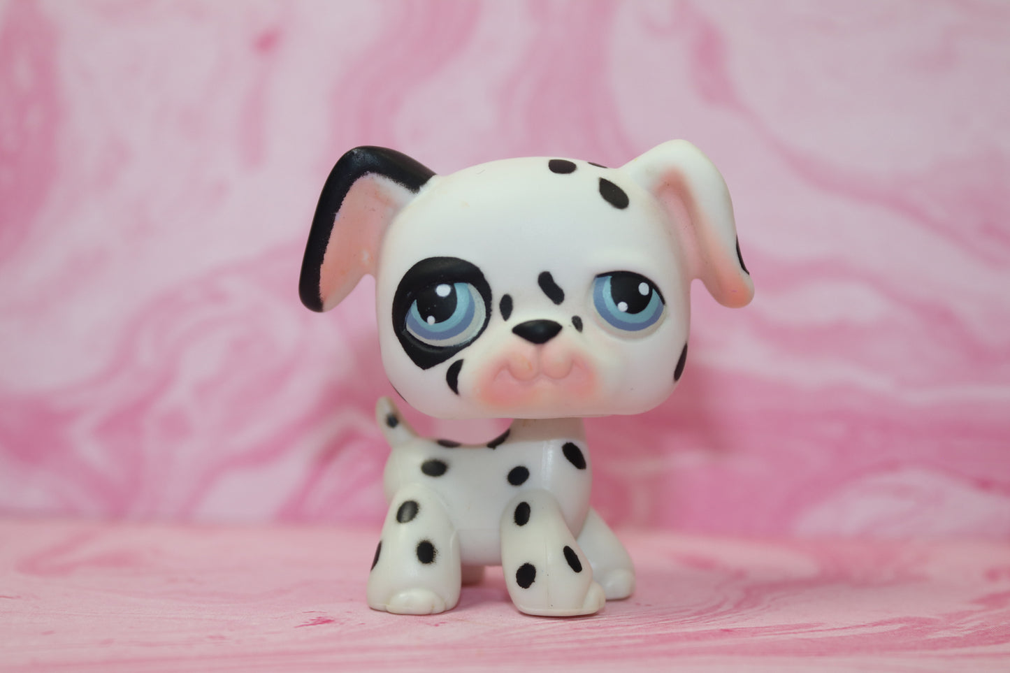 Lps dalmatian 44