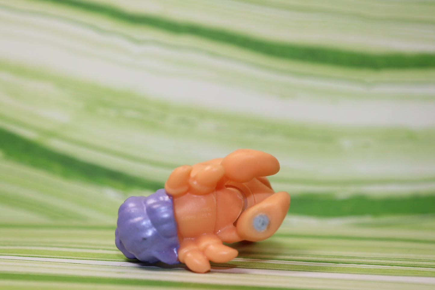 Lps blemished orange hermit crab