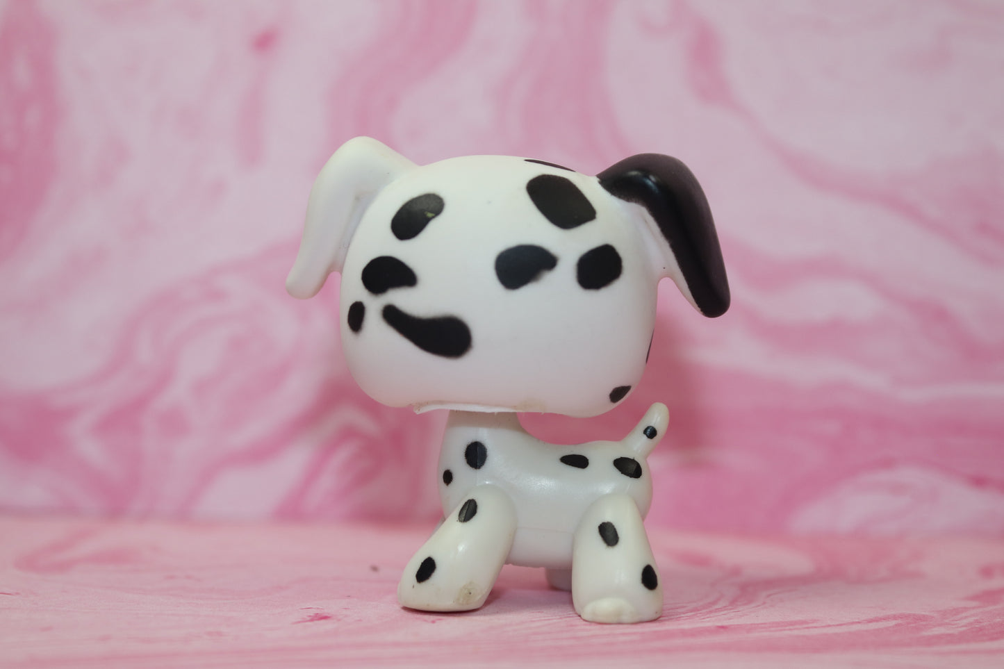 Lps dalmatian 44